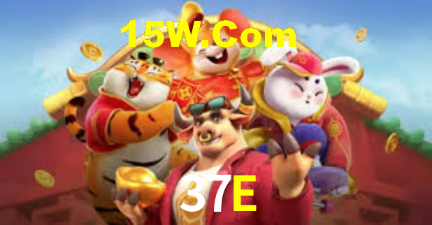 37E App Interface